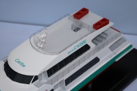 customized model of 29米双体渡轮